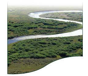 Photo of Stanley Idaho