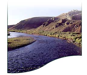 Photo of Stanley Idaho