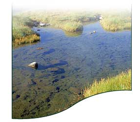 Photo of Stanley Idaho