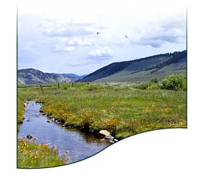 Photo of Stanley Idaho
