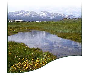 Photo of Stanley Idaho