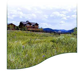 Photo of Stanley Idaho